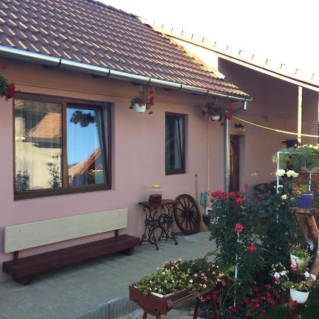 Casa Rustica Cu Terasa Villa Medgyes Kültér fotó