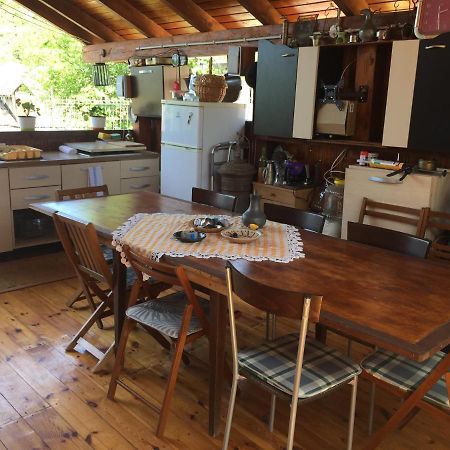 Casa Rustica Cu Terasa Villa Medgyes Kültér fotó