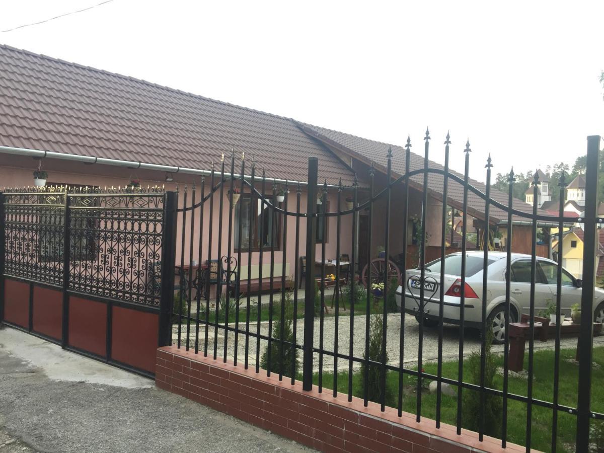 Casa Rustica Cu Terasa Villa Medgyes Kültér fotó