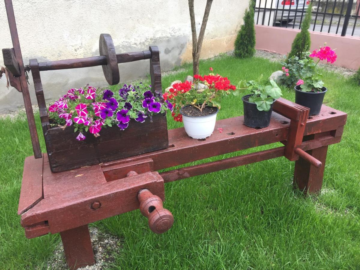 Casa Rustica Cu Terasa Villa Medgyes Kültér fotó