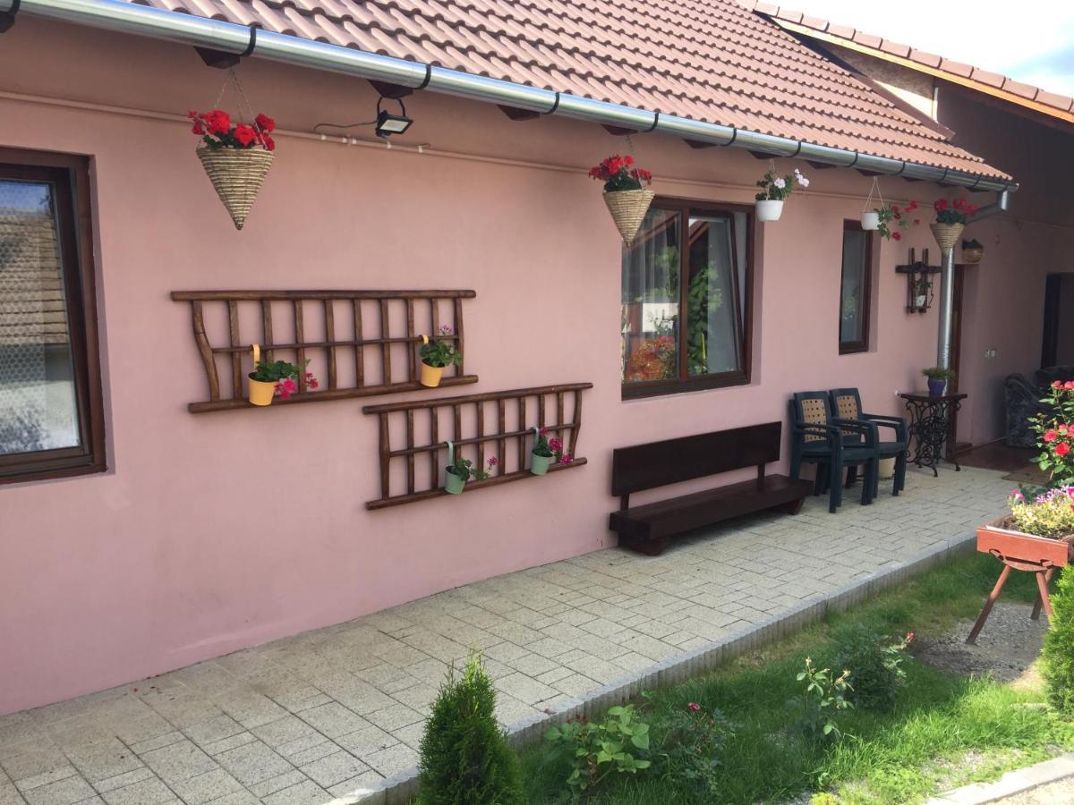 Casa Rustica Cu Terasa Villa Medgyes Kültér fotó