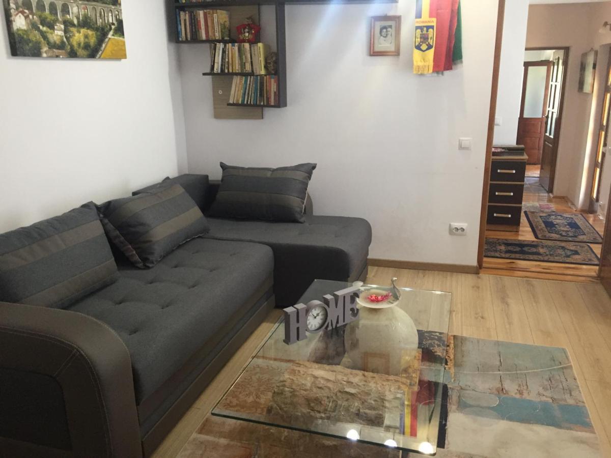 Casa Rustica Cu Terasa Villa Medgyes Kültér fotó