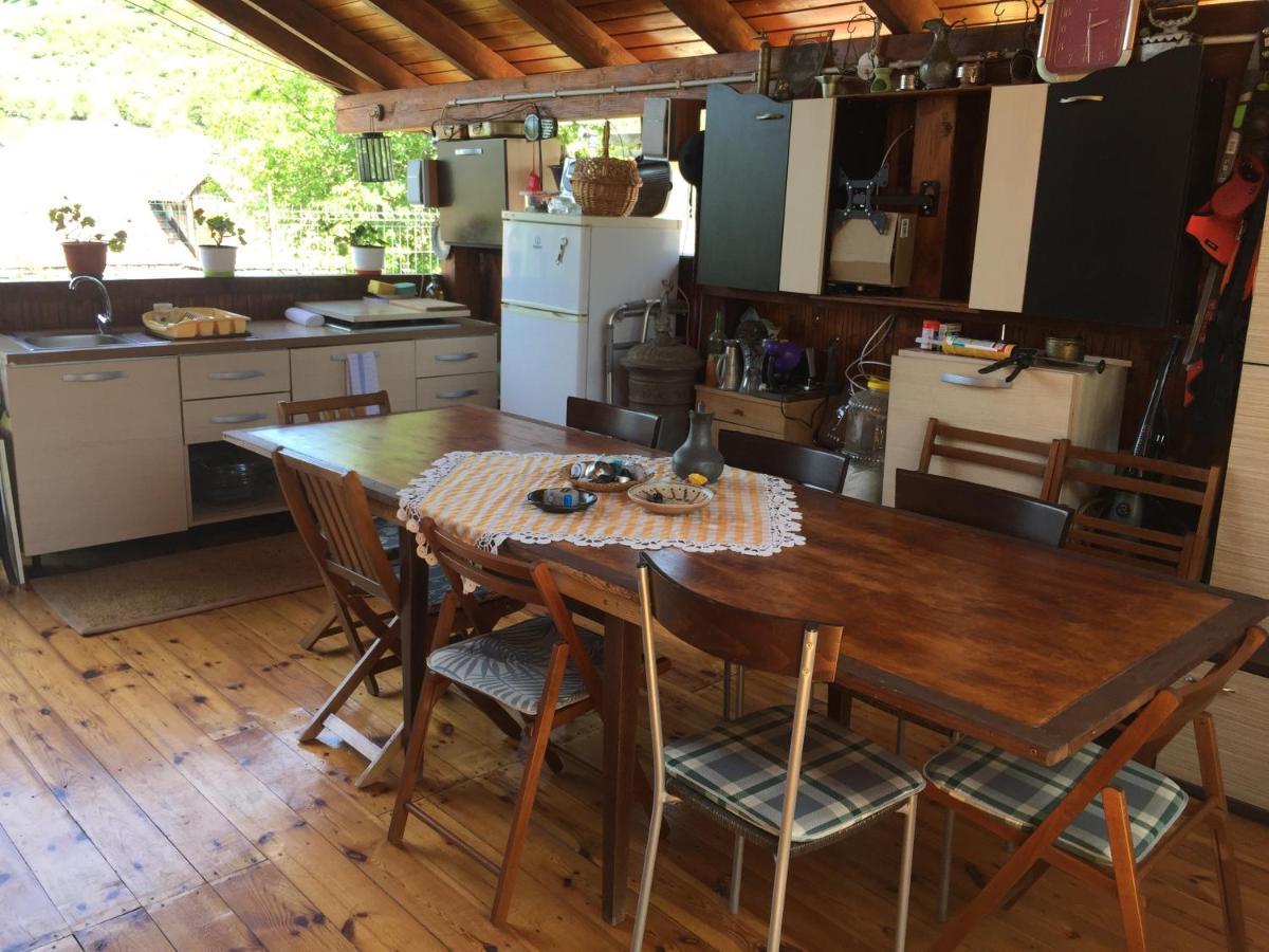 Casa Rustica Cu Terasa Villa Medgyes Kültér fotó