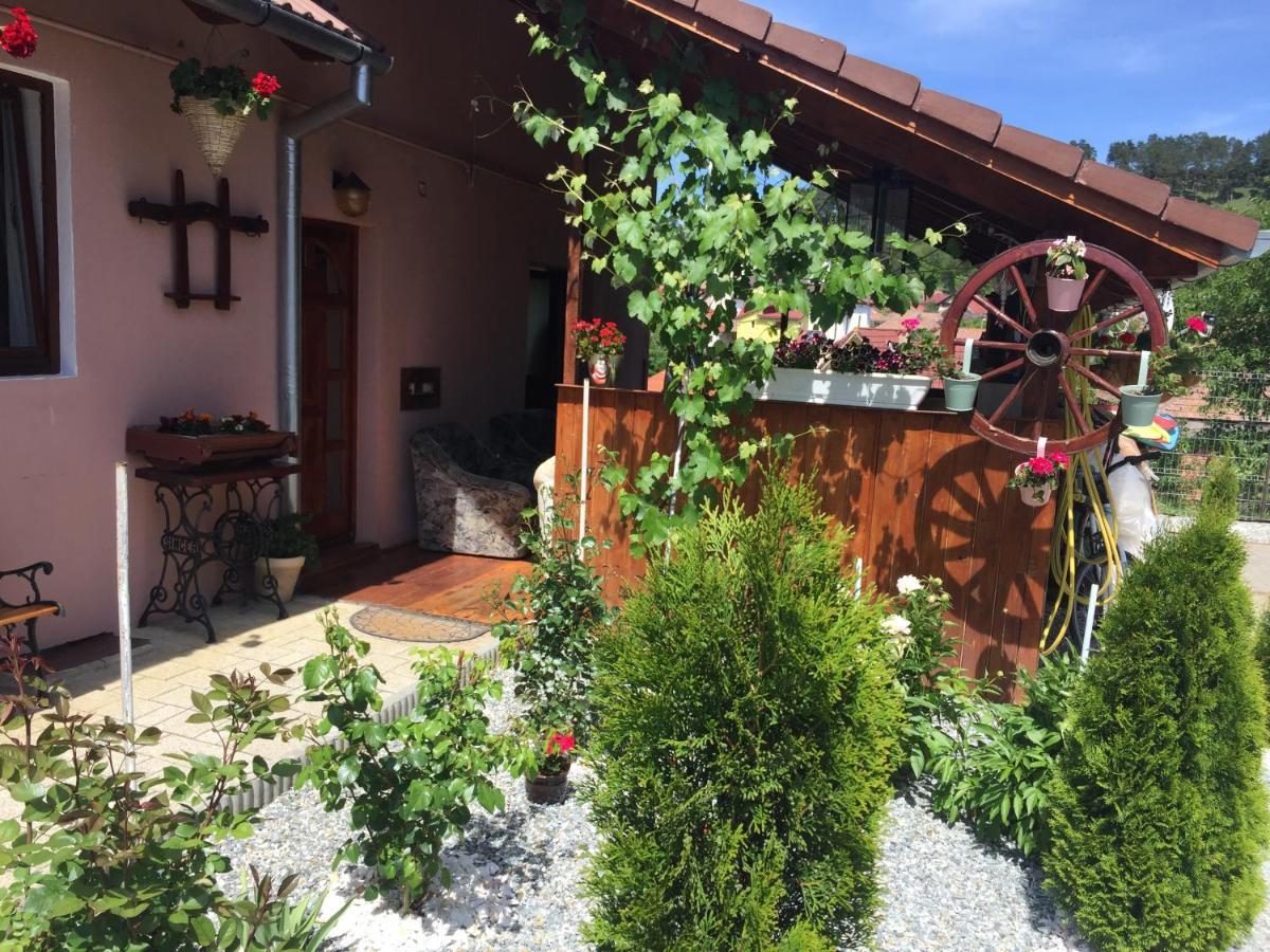 Casa Rustica Cu Terasa Villa Medgyes Kültér fotó